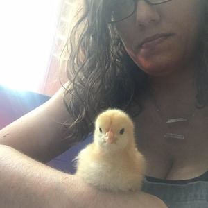 Meet your Posher, Kerri